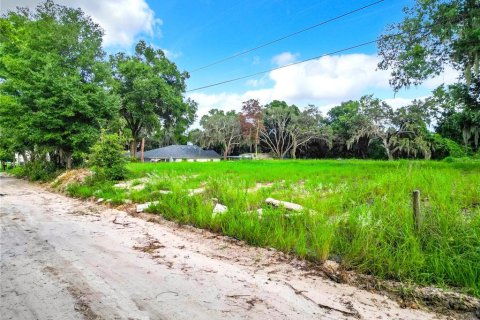 Terrain à vendre à Apopka, Floride № 1285161 - photo 6