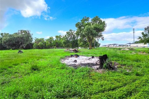 Terrain à vendre à Apopka, Floride № 1285161 - photo 8