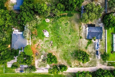 Land in Apopka, Florida № 1285161 - photo 11