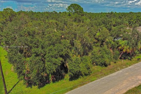 Land in Port Charlotte, Florida № 1375663 - photo 4