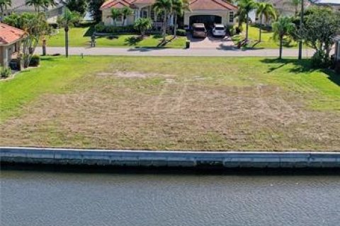 Terrain à vendre à Punta Gorda, Floride № 890942 - photo 7