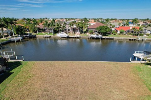 Terrain à vendre à Punta Gorda, Floride № 890942 - photo 1