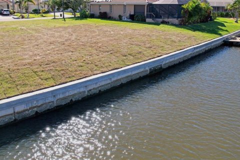 Terrain à vendre à Punta Gorda, Floride № 890942 - photo 3