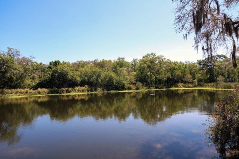 Condo in Clearwater, Florida, 1 bedroom  № 1420739 - photo 27