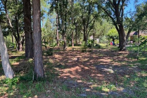 Terreno en venta en Palm Coast, Florida № 1251137 - foto 3