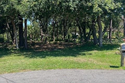 Land in Palm Coast, Florida № 1251137 - photo 1