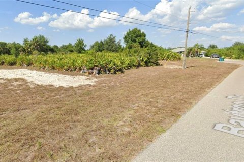 Land in Rotonda, Florida № 1347571 - photo 3