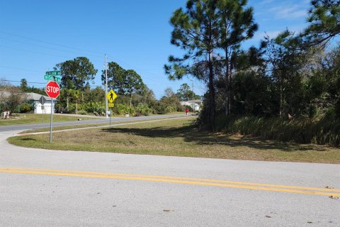 Купить земельный участок в Палм-Бей, Флорида № 998557 - фото 5