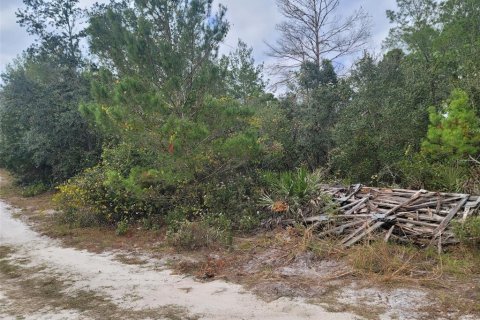 Land in DeLand, Florida № 824554 - photo 3