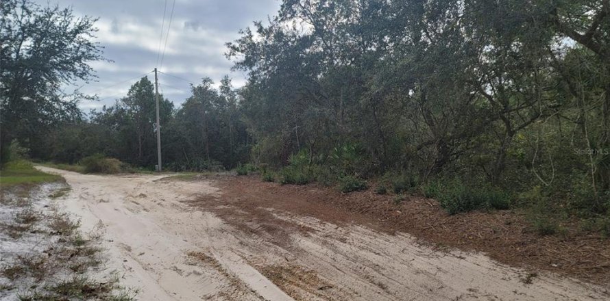 Land in DeLand, Florida № 824554