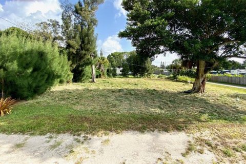 Terrain à vendre à Merrit Island, Floride № 304547 - photo 2