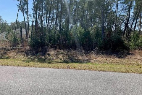 Terreno en venta en Ocala, Florida № 1127044 - foto 1