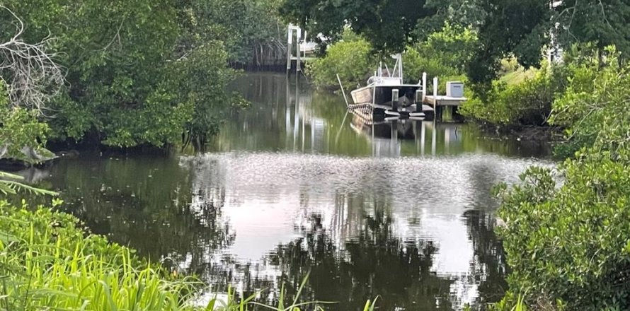 Terrain à Port Charlotte, Floride № 861852