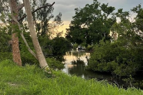 Land in Port Charlotte, Florida № 861852 - photo 22