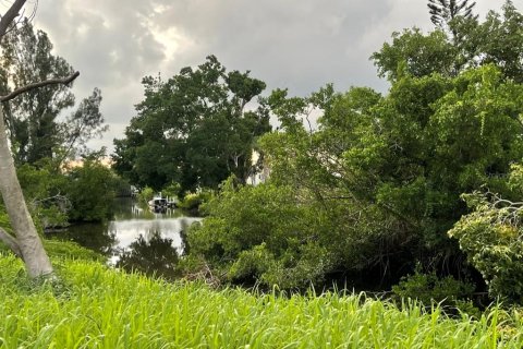 Land in Port Charlotte, Florida № 861852 - photo 13