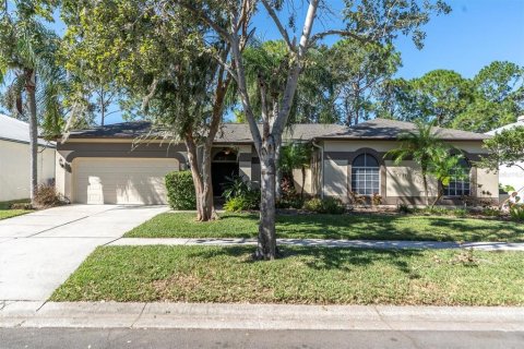 Villa ou maison à vendre à Tampa, Floride: 4 chambres, 217.67 m2 № 1410001 - photo 1