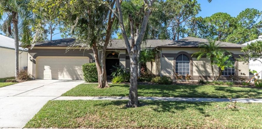 Villa ou maison à Tampa, Floride 4 chambres, 217.67 m2 № 1410001