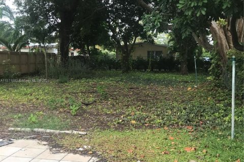 Terrain à vendre à Wilton Manors, Floride № 1128361 - photo 2
