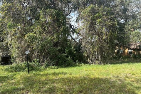 Terreno en venta en Leesburg, Florida № 1433560 - foto 3