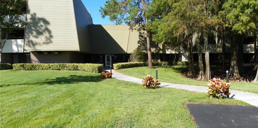 Condo in Palm Harbor, Florida, 3 bedrooms  № 1350425