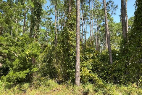 Terreno en venta en Palm Coast, Florida № 1417015 - foto 1