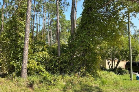 Terreno en venta en Palm Coast, Florida № 1417015 - foto 3