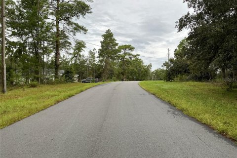 Terreno en venta en Ocala, Florida № 1417009 - foto 4