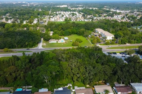 Terreno en venta en New Port Richey, Florida № 1313273 - foto 16