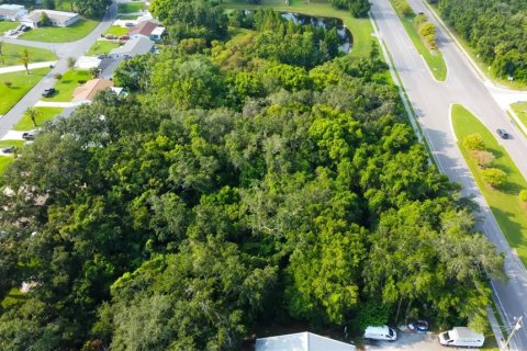 Terrain à vendre à New Port Richey, Floride № 1313273 - photo 6