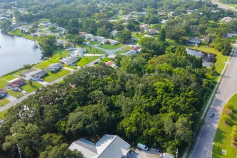 Terreno en venta en New Port Richey, Florida № 1313273 - foto 8