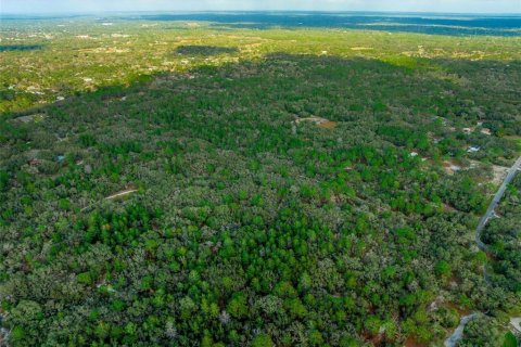 Land in Hudson, Florida № 1259874 - photo 18