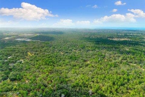 Land in Hudson, Florida № 1259874 - photo 11