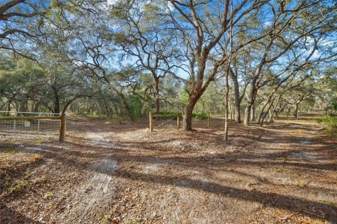 Terreno en venta en Hudson, Florida № 1259874 - foto 7