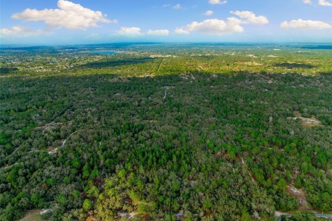 Terreno en venta en Hudson, Florida № 1259874 - foto 20