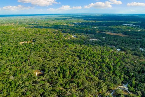 Terrain à vendre à Hudson, Floride № 1259874 - photo 6