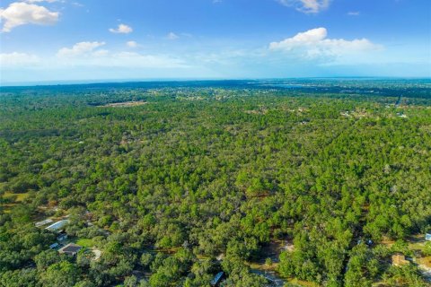 Land in Hudson, Florida № 1259874 - photo 21