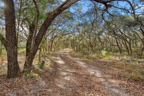 Terrain à vendre à Hudson, Floride № 1259874 - photo 3