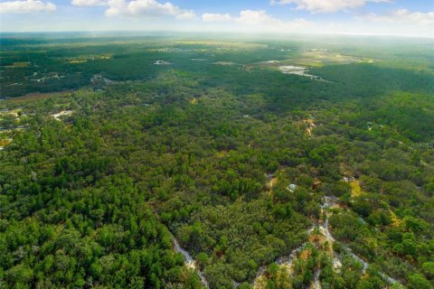 Land in Hudson, Florida № 1259874 - photo 13