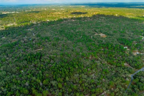 Land in Hudson, Florida № 1259874 - photo 19