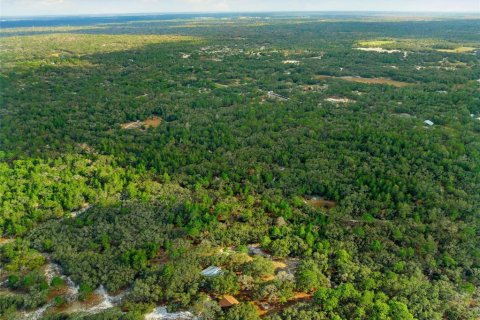 Land in Hudson, Florida № 1259874 - photo 16