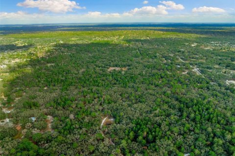 Land in Hudson, Florida № 1259874 - photo 17