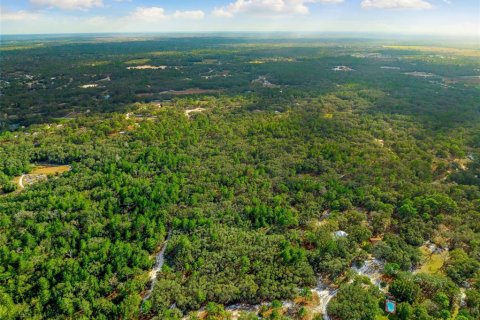 Terreno en venta en Hudson, Florida № 1259874 - foto 14