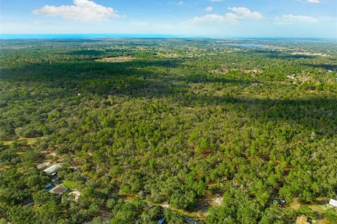 Land in Hudson, Florida № 1259874 - photo 10