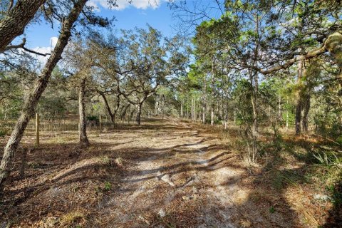 Land in Hudson, Florida № 1259874 - photo 2