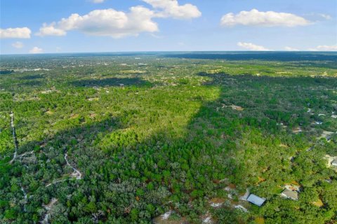 Terrain à vendre à Hudson, Floride № 1259874 - photo 8