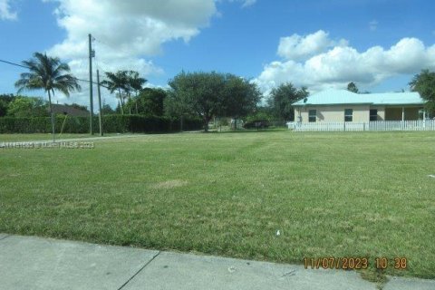 Immobilier commercial à vendre à Homestead, Floride № 825157 - photo 1