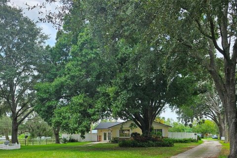 Villa ou maison à vendre à Orlando, Floride: 4 chambres, 308.62 m2 № 1300293 - photo 13