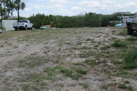 Land in Ruskin, Florida № 1312970 - photo 2