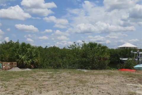 Terrain à vendre à Ruskin, Floride № 1312970 - photo 7