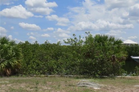 Land in Ruskin, Florida № 1312970 - photo 1